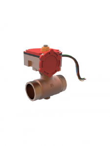 FPP - BBG-300 FPP - BBG-300